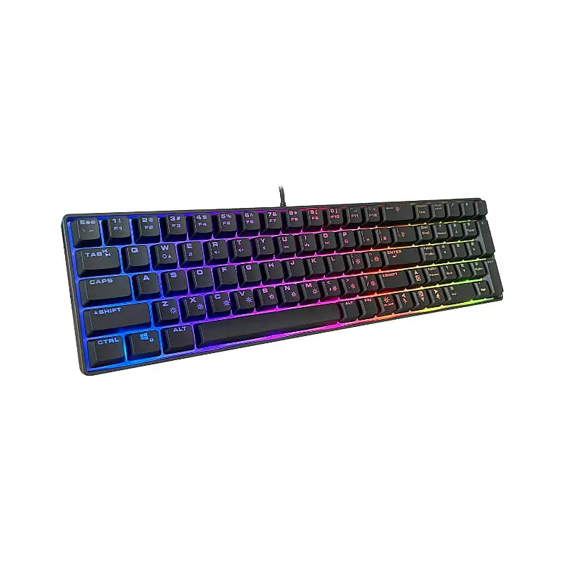 New USB Wired Gaming 85 Keys Customized ergonomic gaming RGB  backlight keyboard For Gamer  GKL-8006L